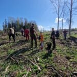 Pasimaivom besodindami