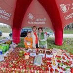 Jaunosios padėjėjos