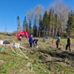 Dar yra ką nuveikti