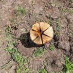 Laužo kūrimo ypatumai