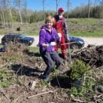 Zita, Vytas ir eglutė