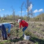 Kolegos ne tik kabinete