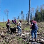 Augintiniai padeda dirbti