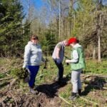 Sodinimo strategija nustatyta