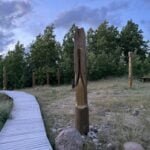 Į Žemaičių alką