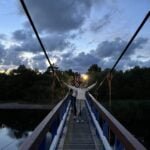 Beždžionėlės pradeda